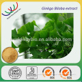 Free sample ! China FDA ,HACCP, KOSHER skin whitening bulk natural ginkgo biloba powder extract 24/6